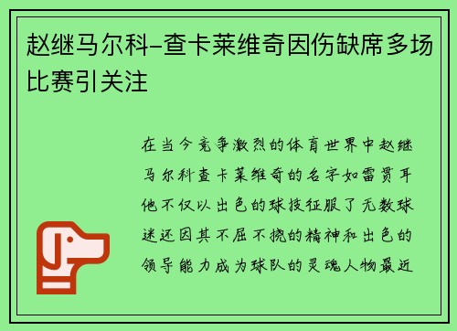 赵继马尔科-查卡莱维奇因伤缺席多场比赛引关注